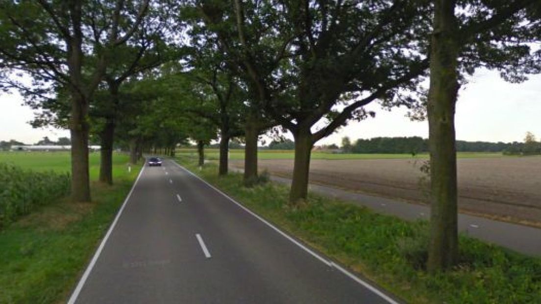 De provincie Gelderland gaat langs de N819 tussen Aalten en Dinxperlo de gezondheid van de bomen onderzoeken.