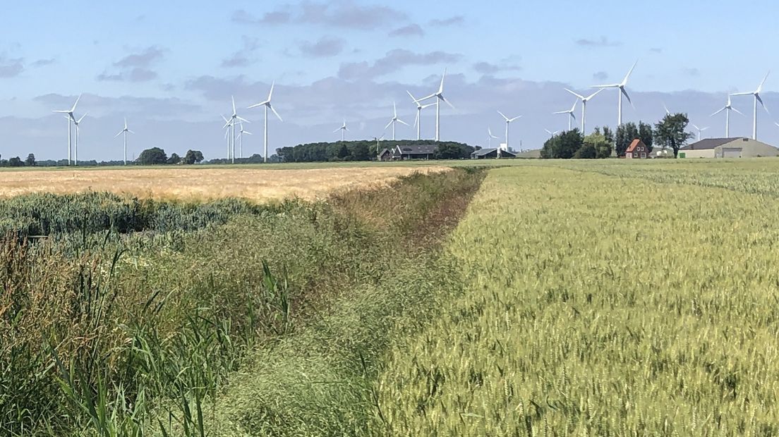 De nieuwe windmolens moeten ten zuiden van windpark Delfzijl Zuid komen