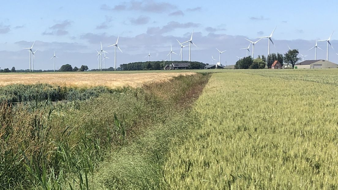 De nieuwe windmolens moeten onder windpark Delfzijl Zuid komen