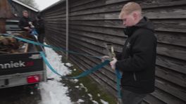 Beeld Harry Muskee weer terug in Grolloo