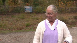 Openluchtmuseum Ellert en Brammert droomt van een negen meter hoge toren