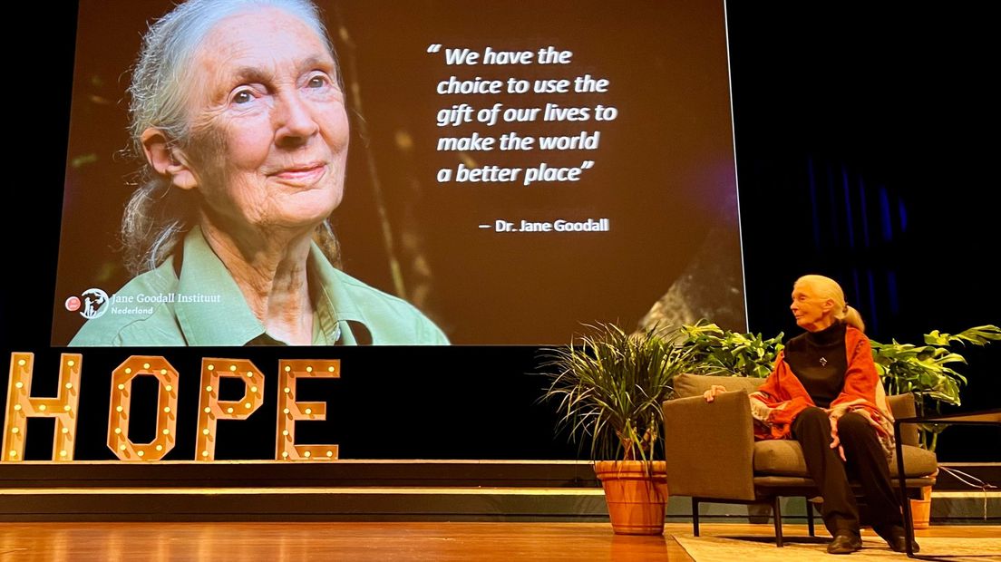 Jane Goodall