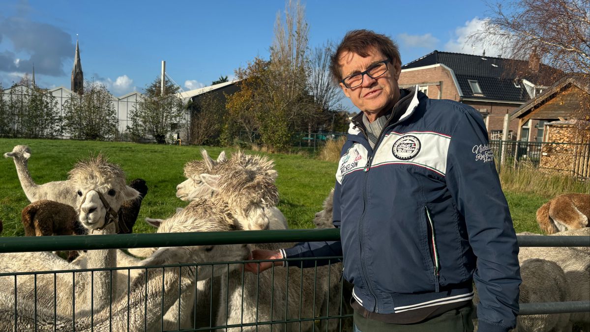 Alpacafokker blij weer terug te zijn op oude nest: 'Tien jaar voor gestreden'