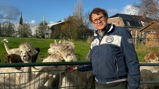 Alpacafokker blij weer terug te zijn op oude nest: 'Tien jaar voor gestreden' Nieuws