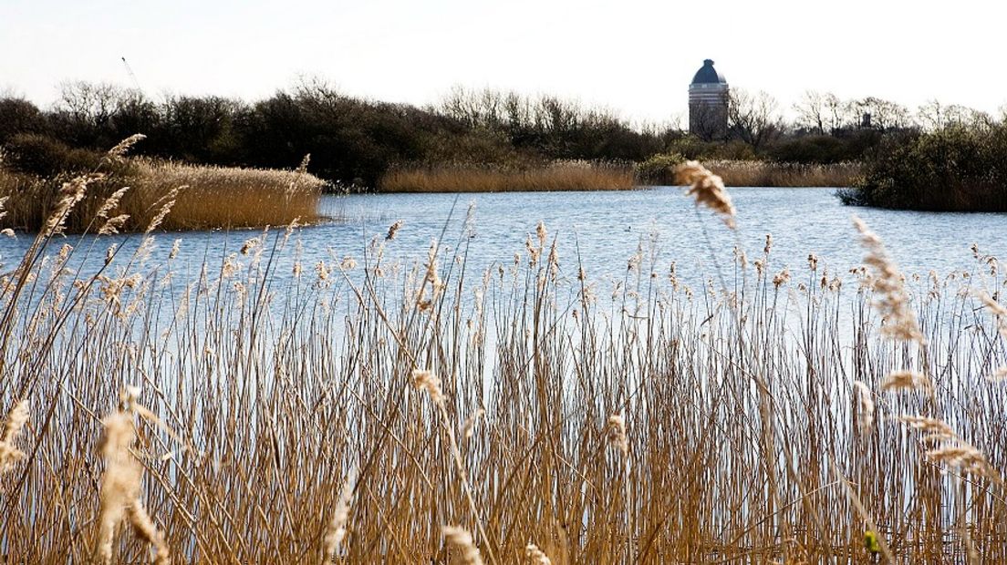In de duinen tussen Monster en Katwijk wordt water vanuit de Maas opgeslagen.
