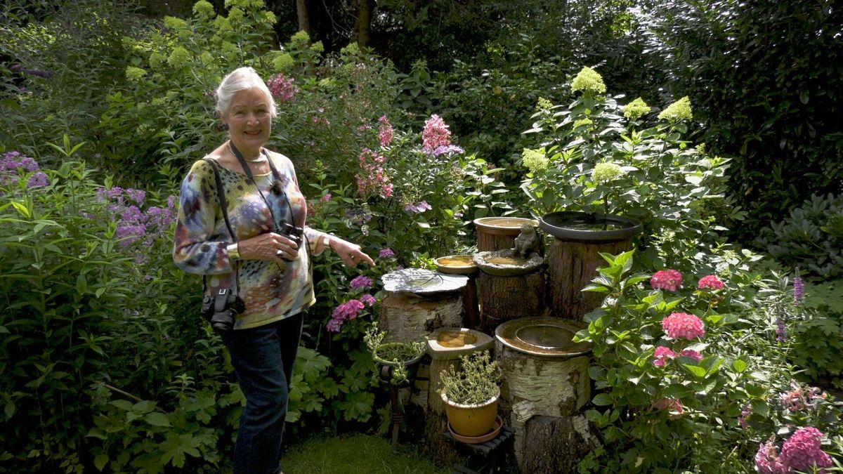Natuurtuin Koekange: 'Ik kan de hele dag op excursie in mijn eigen tuin'