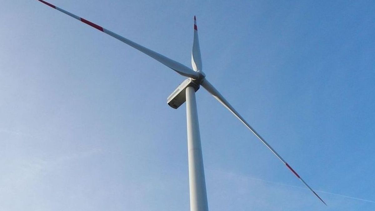 Zutphen wil miljoenenrisico nemen voor windmolens: ‘We hebben ze echt nodig’