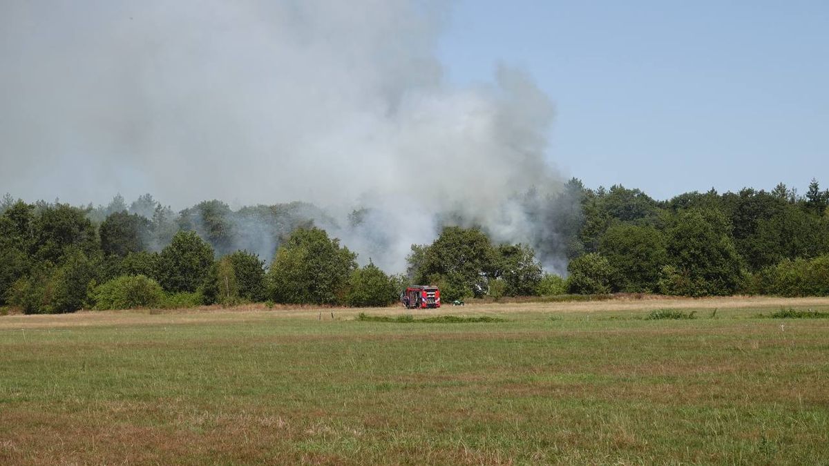 Natuurbrand in Rheezerveen onder controle: 'Laat niets achter in de natuur'