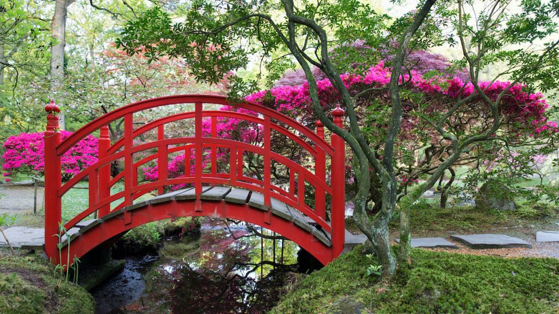 Japanse Tuin