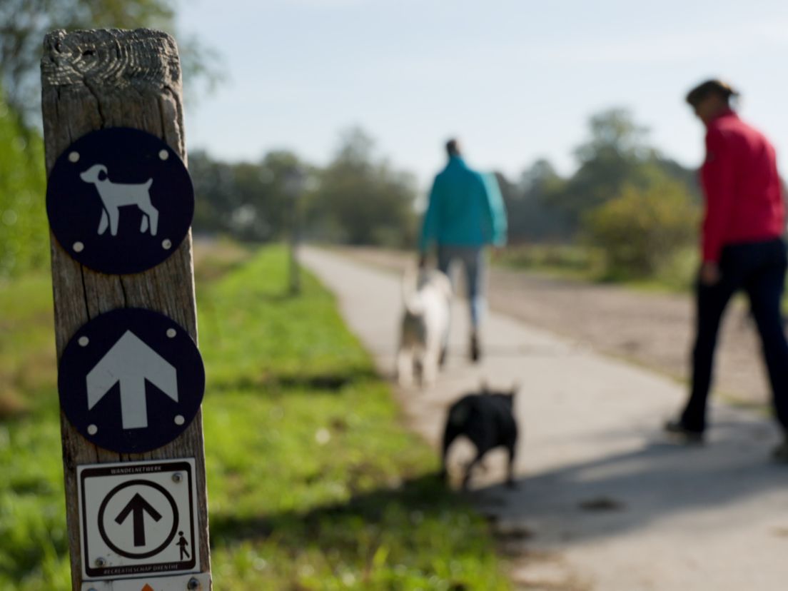 Hondenloslooproutes Holtingerveld in de toekomst buiten kwetsbare natuur: 'Ik vond het kort door de bocht'