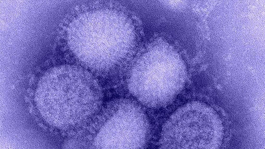 Epenaar met Mexicaanse griep overleden