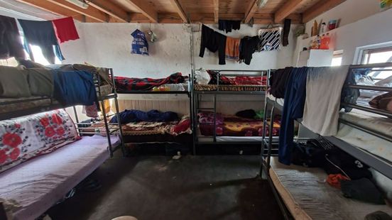 Duitse oproep aan Nederlands kabinet: verscherp regels rond arbeidsmigranten Home