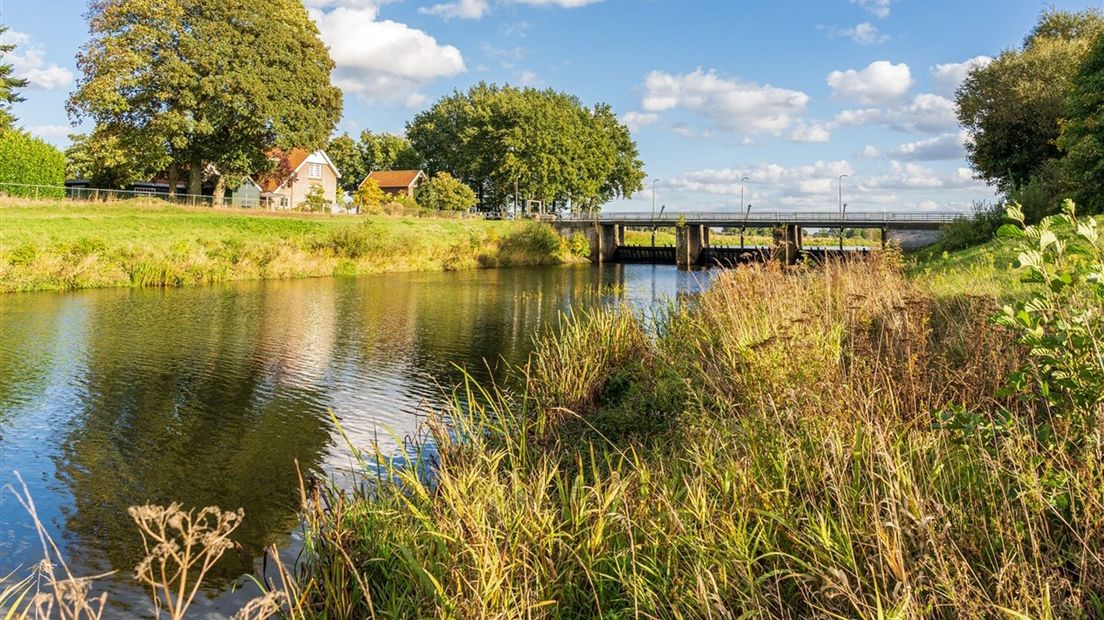 Het groene landschap nabij de stuw Junne in de Overijsselse Vecht.