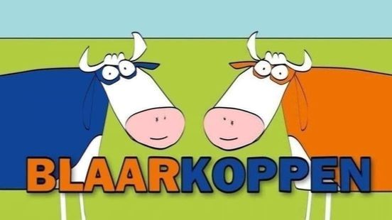 Blaarkoppen blijven in de kou staan