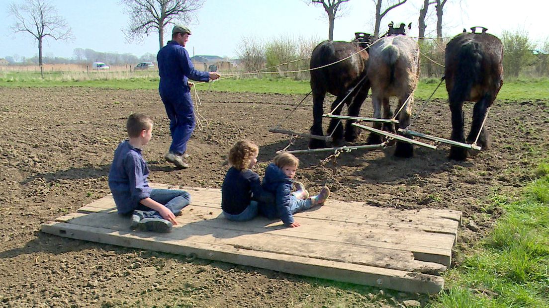 Kinderen konden tijdens de open dag meerijden op het sleepbord dat achter de trekpaarden was gespannen