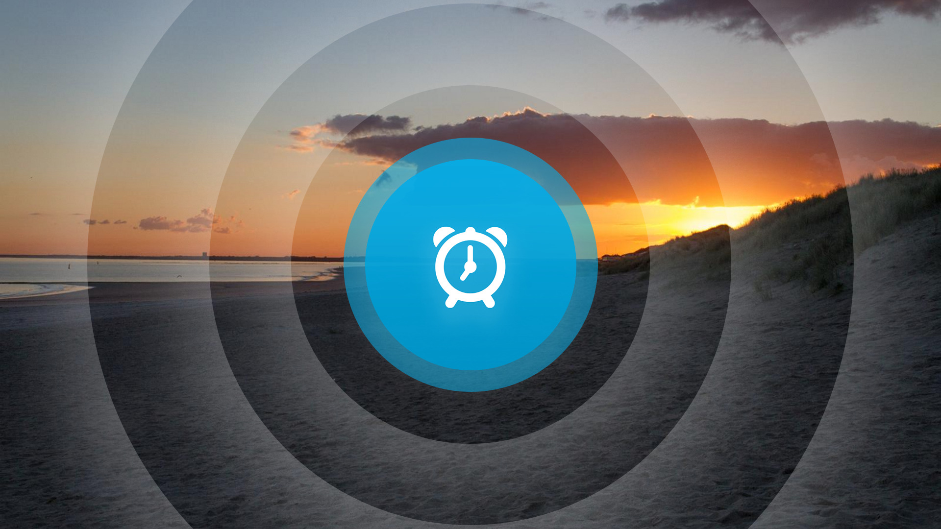 Goedemorgen! Aangespoelde potvis, fietsen in Hulst en tentoonstelling inheemse bevrijders