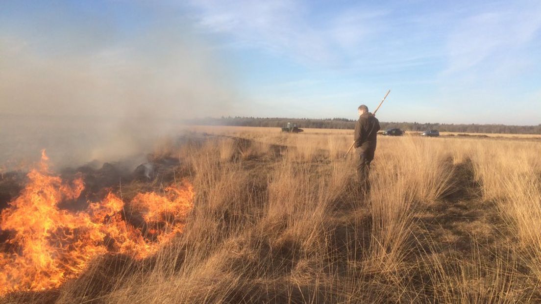 De heide op het Dwingelderveld wordt gecontroleerd afgebrand (Rechten: Johan Coelingh)