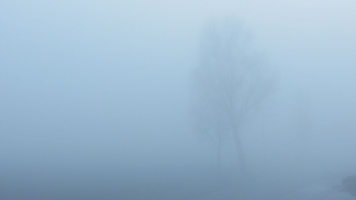 Dichte mist zorgt voor een kleine wereld in Noord-Groningen