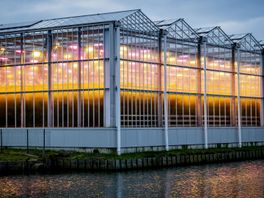 Tuinders vrezen levenswerk door strenge regels en hoge prijzen: 'Daar gaat m'n toekomst'