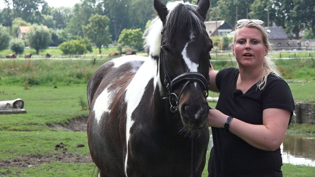 Marije Heller, instructeur bij Hippisch Centrum Zeegersloot, met manegepaard Bink