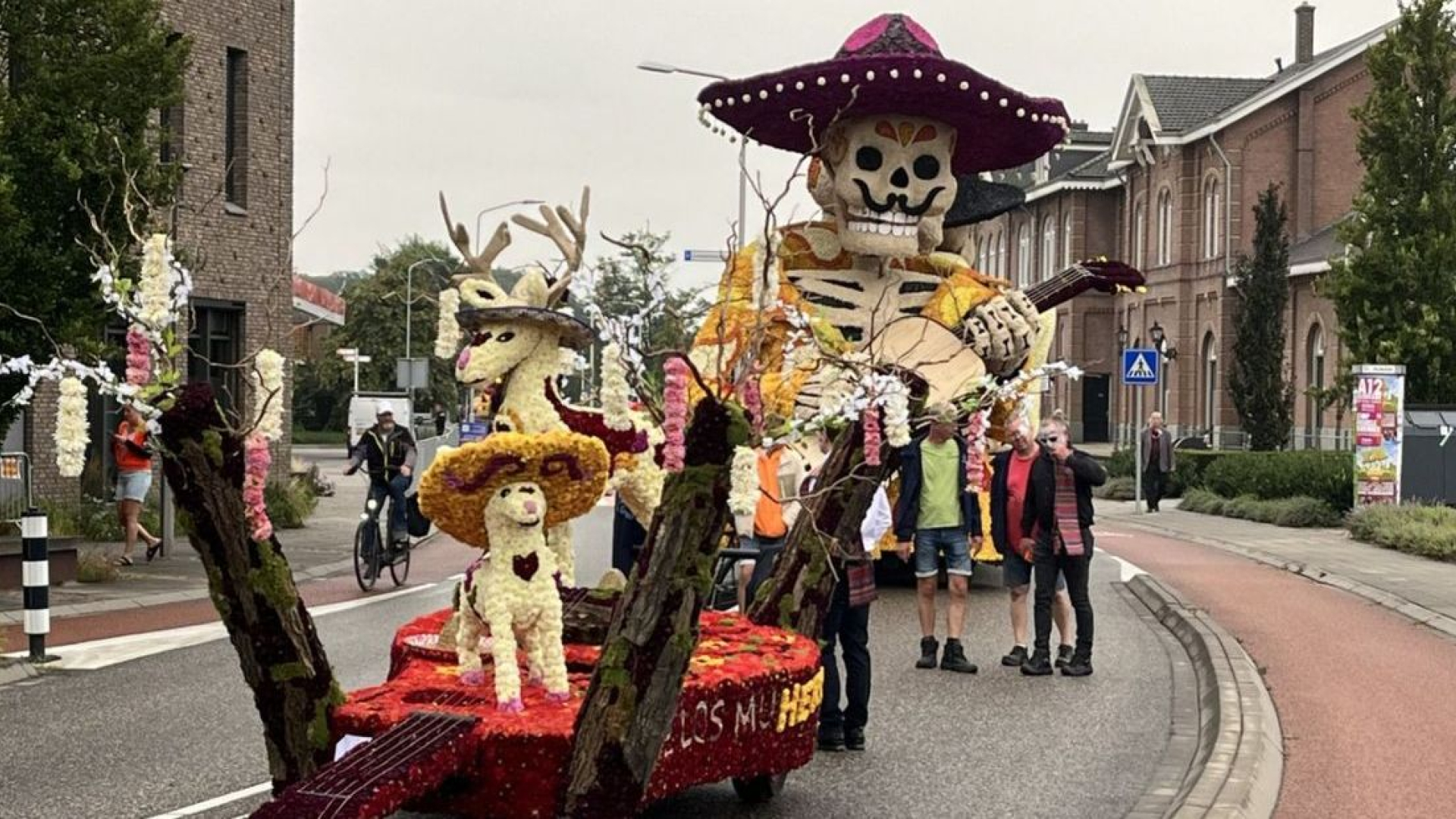 Zijn er genoeg dahlia's? Dat is de vraag vlak voor de bloemencorso's