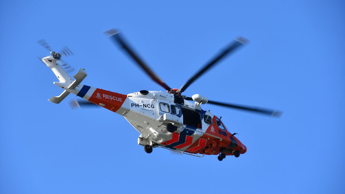 Zoekactie naar drenkelingen bij Breskens blijkt loos alarm: 'Waarschijnlijk waren het zeehonden'