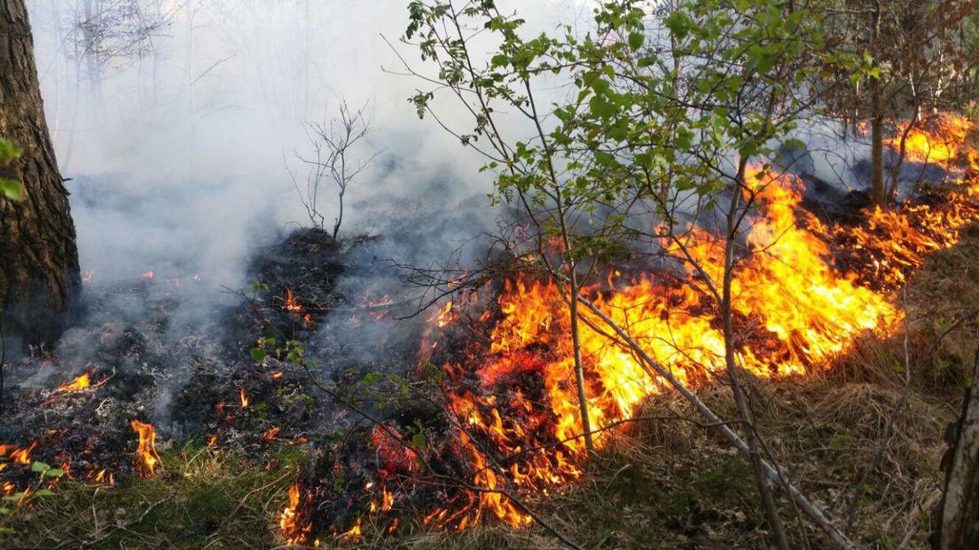 Opnieuw brand bij de Baggelhuizerplas (Rechten: Van Oost media)
