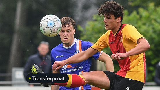 Masselink van Stevo naar DETO, Middelkamp van SVZW naar DVS'33 Home