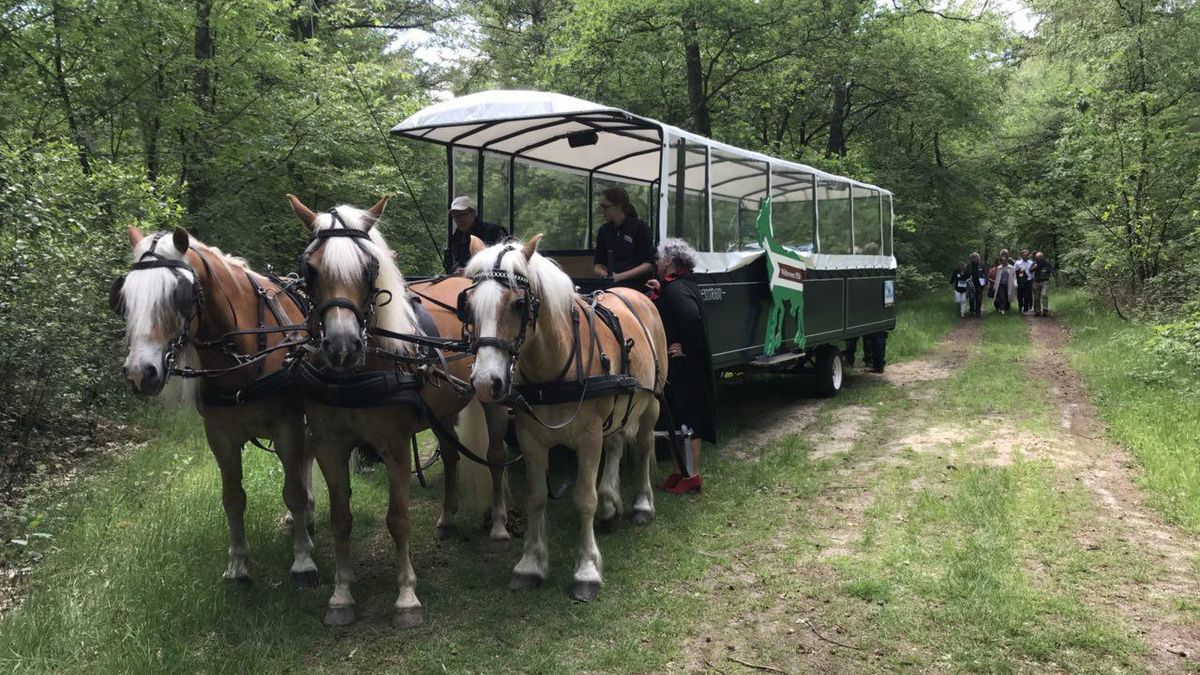 Witteveen slooft zich uit en niet voor niets