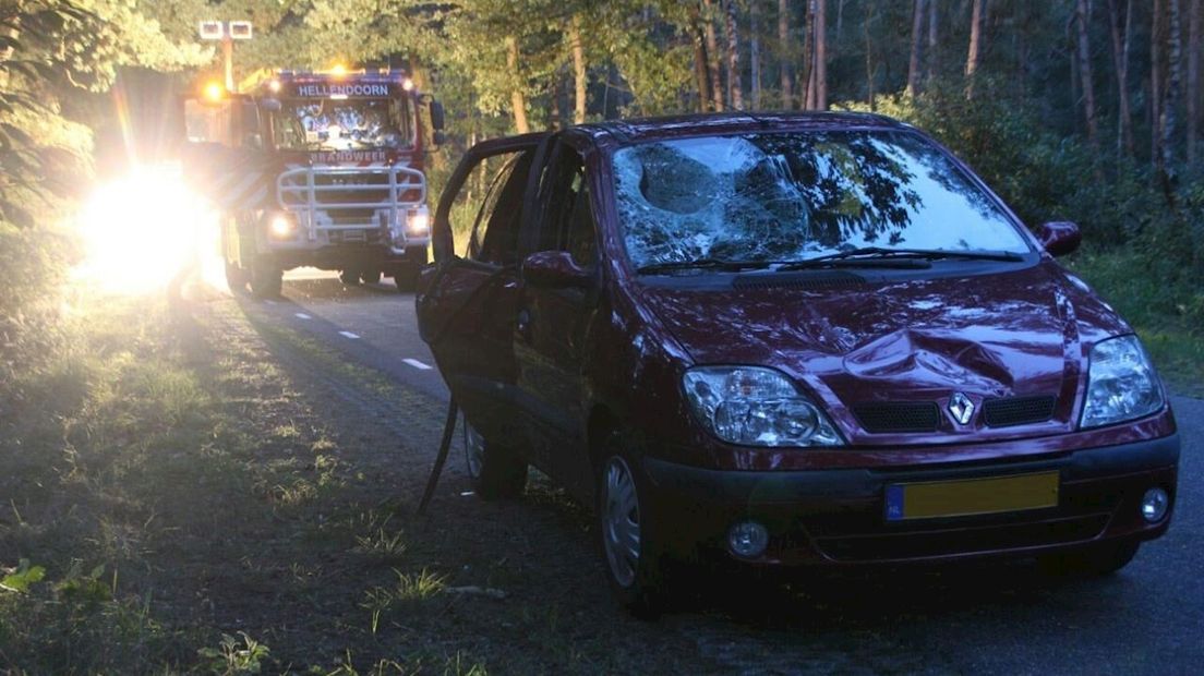 De auto waarop in Haarle een boom viel