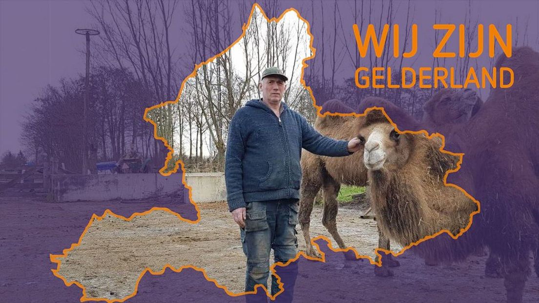 Roger van Leeuwen: 'Een kameel heeft minimaal 5 kilo aan voer nodig per dag'
