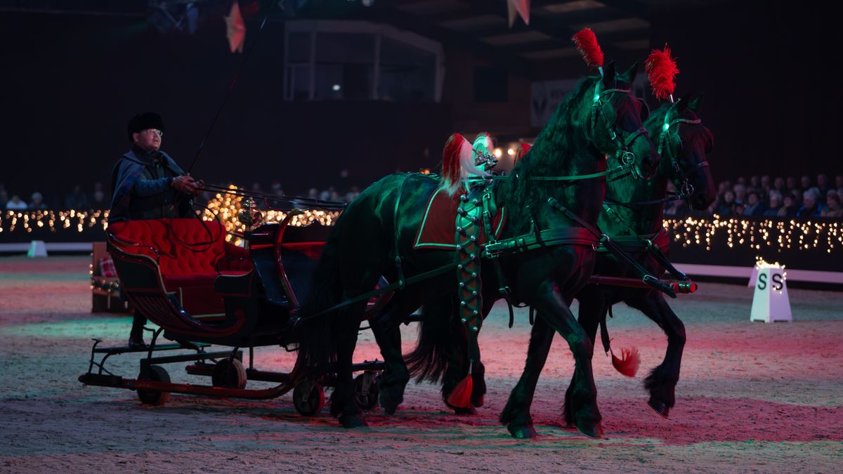 Blijdschap en emotie bij senioren tijdens Kerstshow in Hippisch Centrum Exloo