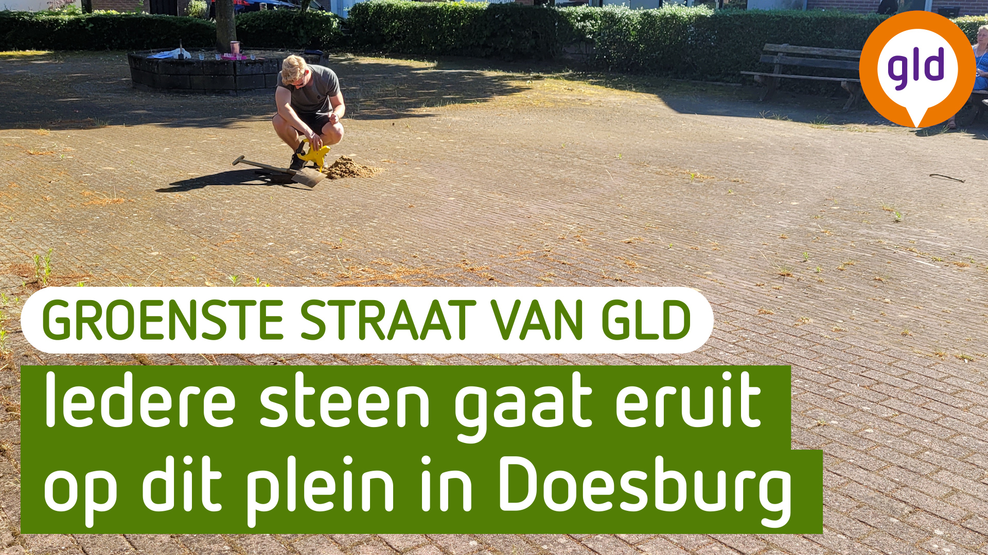 De Groenste Straat van Gelderland - Doesburg