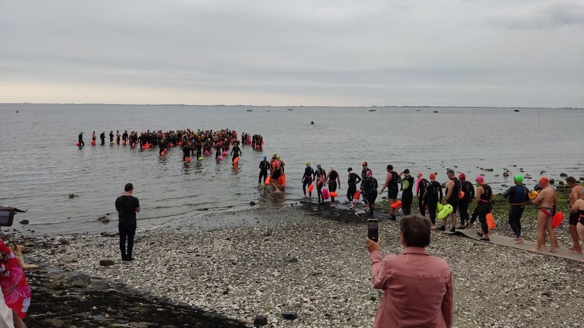 Bonte verslaat Kloet in zwemtocht tussen Kattendijke en Wemeldinge