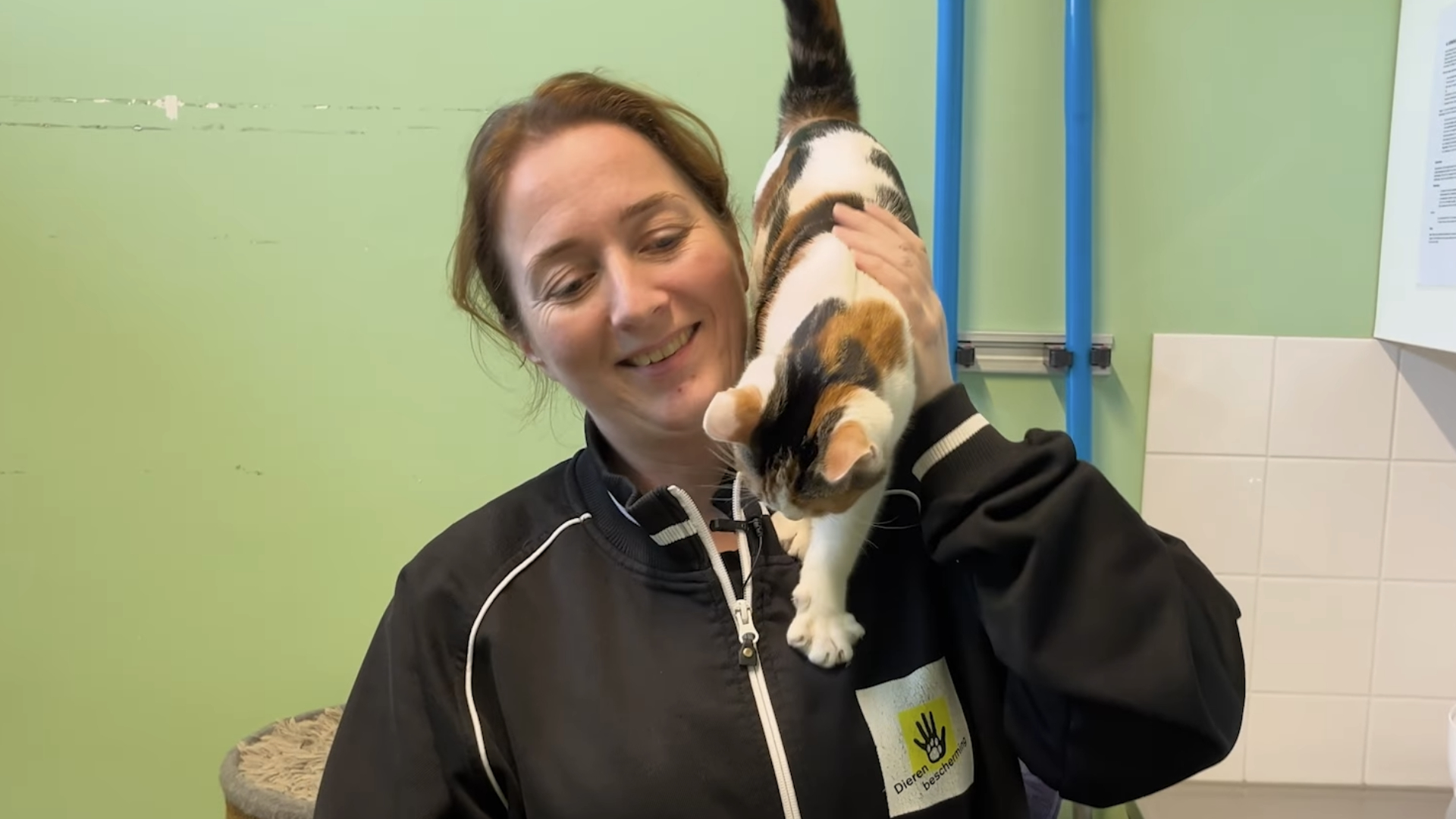 Volgens Ilja van der Esch zijn de dieren erg sociaal.