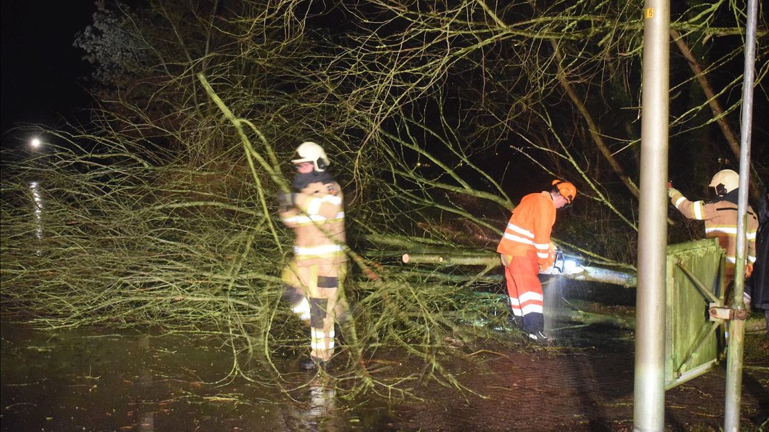 Aan de Horstweg in Paasloo viel een boom op de weg