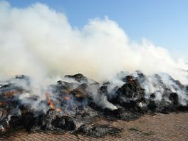Brand in hoop groenafval aan de Kinholtsweg in Hoogeveen