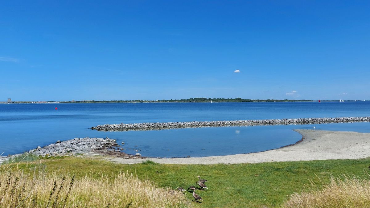 Zwemwater badstrand Scharendijke weer schoon