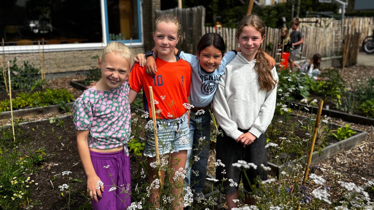Drie op de vier schoolpleinen op Schouwen-Duiveland zijn nu groener: 'Kinderen spelen anders'