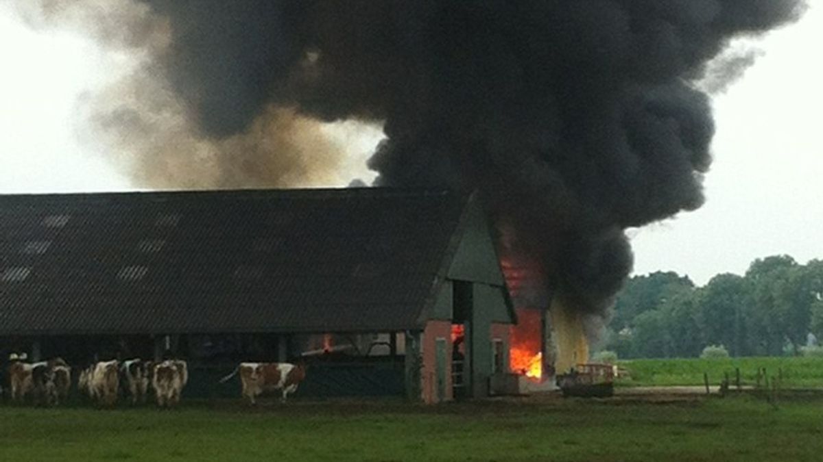 Kalveren gered uit brandende stal Ottersum