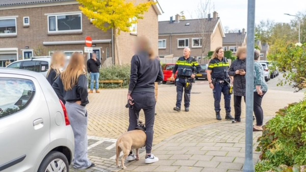 Hond Bobby zwaargewond na aanval door twee honden: 'Dacht dat hij dood was'