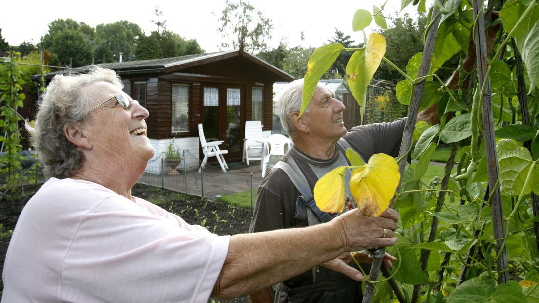 Moestuin