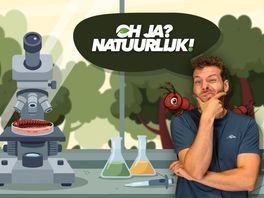 Heeft een duizendpoot echt duizend poten?