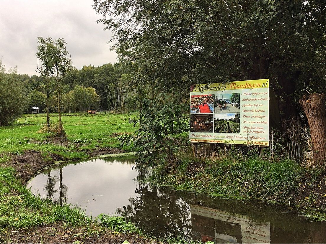 Aan de Zuidbuurt 40 vind je De Wijnboerderij van Joke en Louise