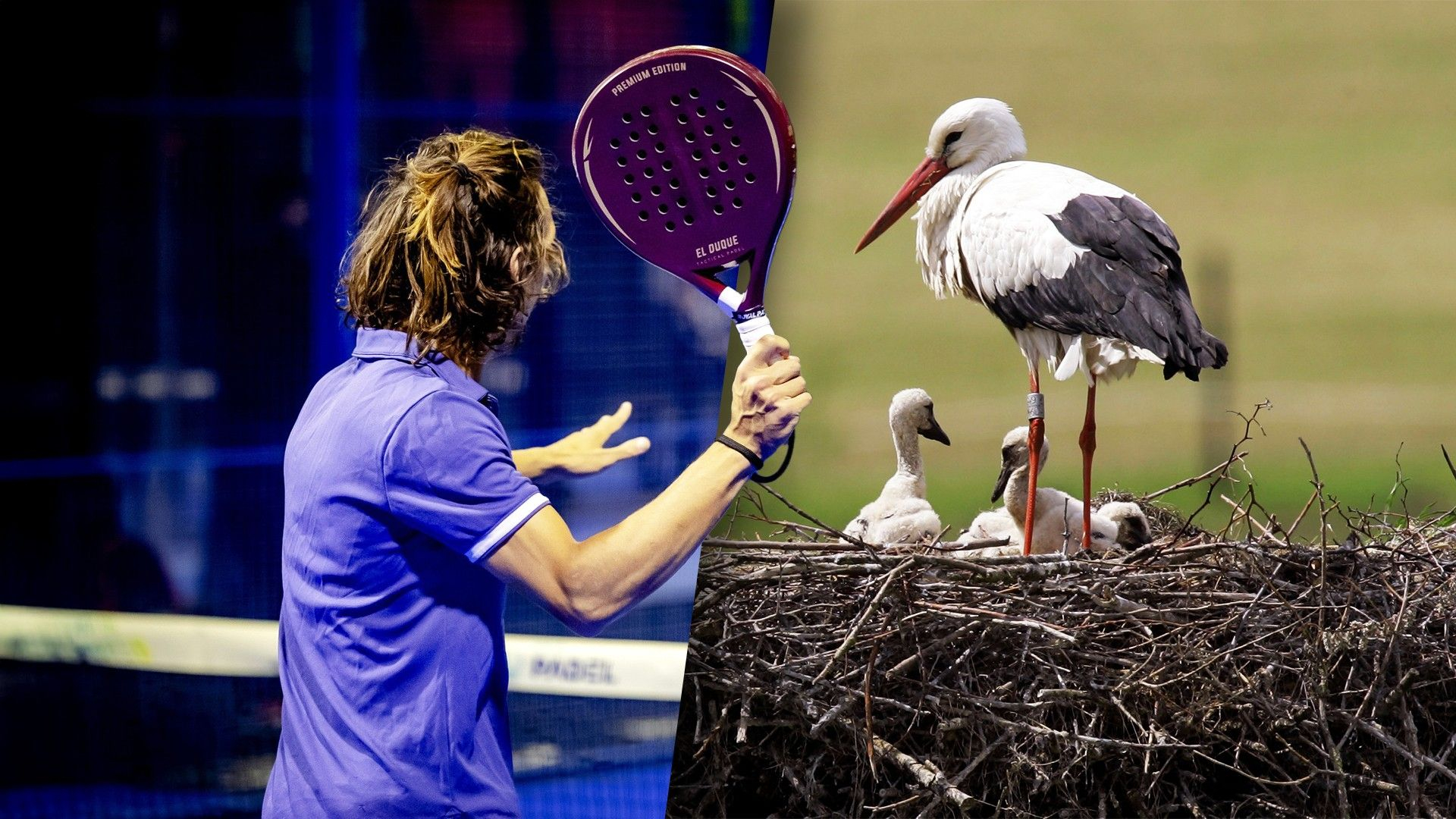 Rick verzet zich tegen padelbanen, maar vangt bot bij Raad van State