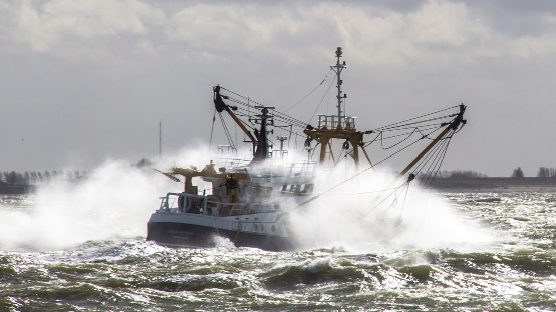 Visverbod in deel van Westerschelde voorlopig van de baan