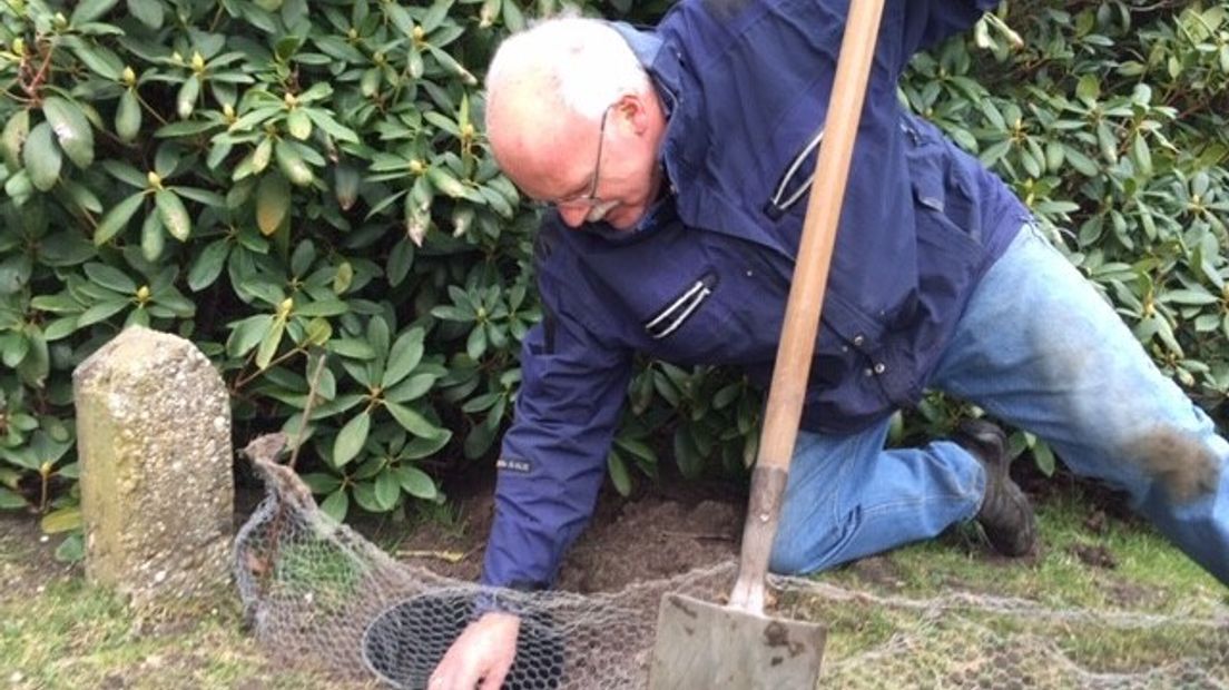 Henk Remijn van de Natuurvereniging Walcheren bezig met het ingraven van een emmer om de padden te helpen met oversteken.