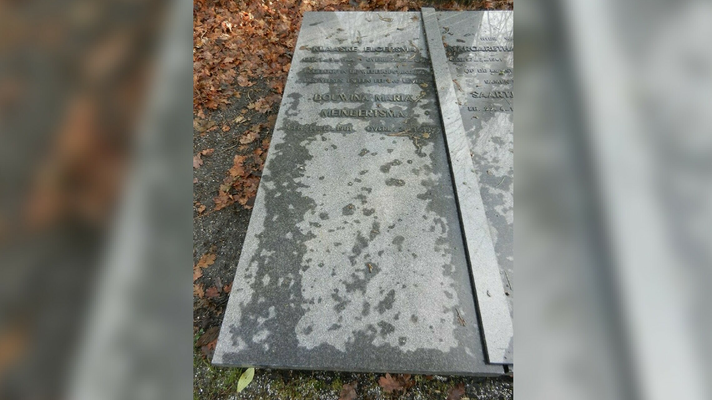 It grêf fan Bouwina Meindertsma en har freondinne Klaaske Elgersma