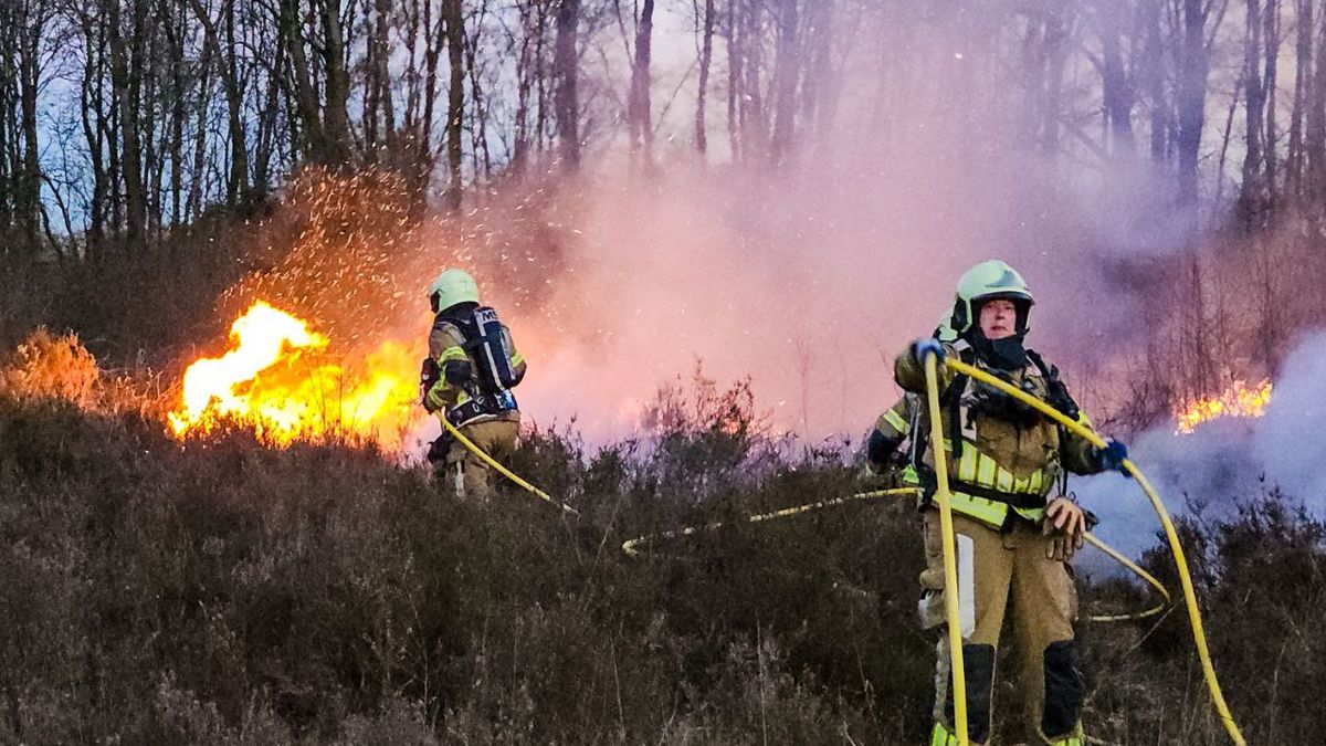 Druk weekend voor de brandweer in Overijssel: drie natuurbranden tijdens hoogste alarmeringsfase