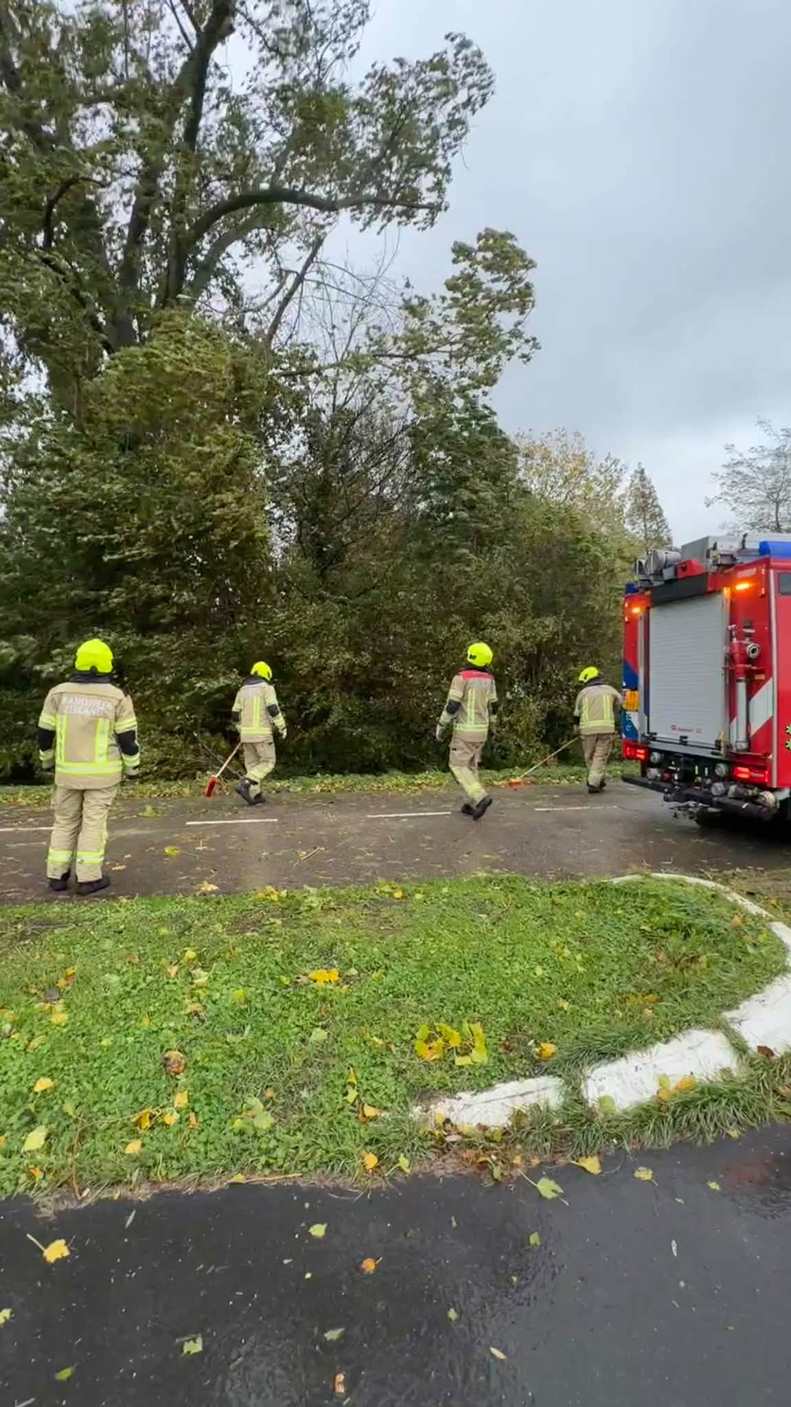 Omgewaaide bomen en takken op de weg • Genieten van golven aan de kust